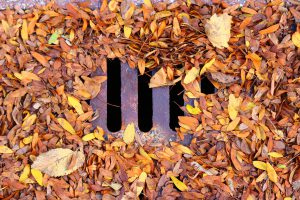 Blocked drain with leaves