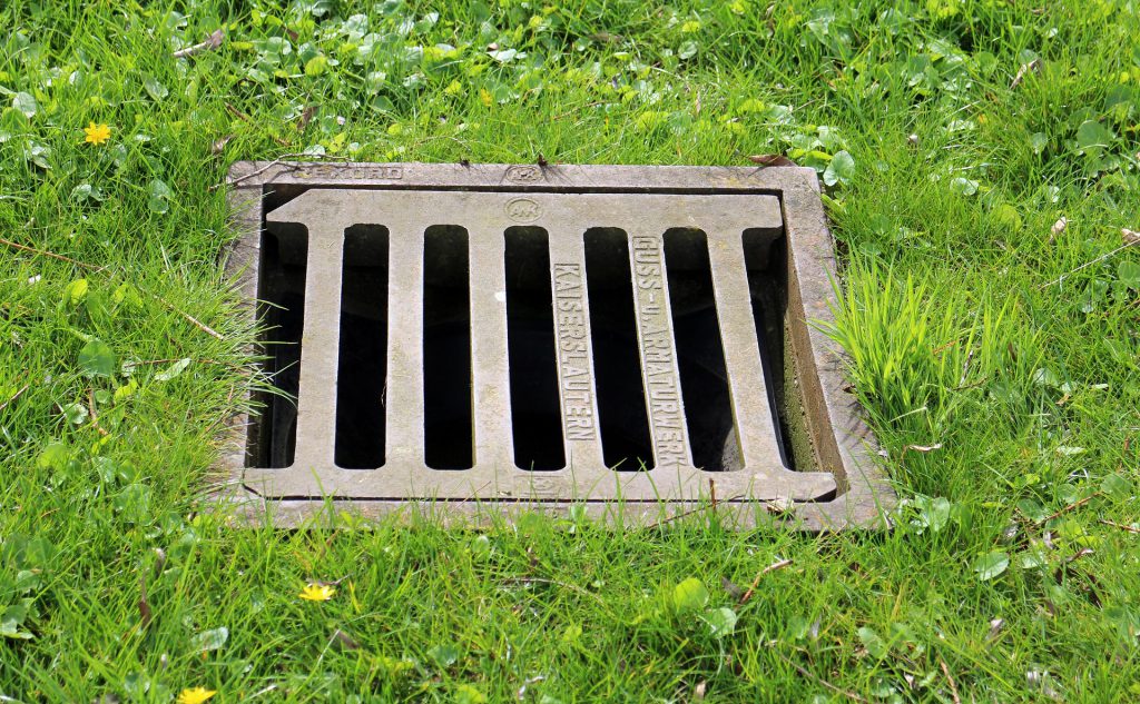 Drain cover with grass surround